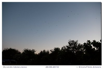 20100626221532.jpg