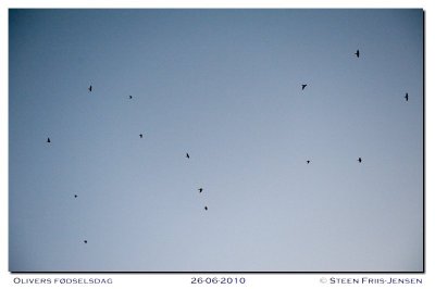 20100626221555.jpg