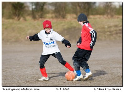 20080202105130-2.jpg