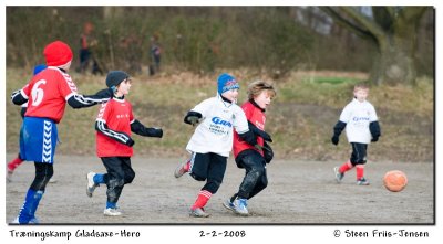 20080202105534.jpg