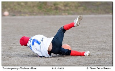 20080202105648.jpg
