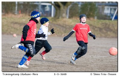 20080202113338-2.jpg