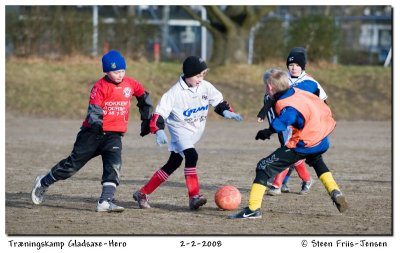 20080202113850.jpg