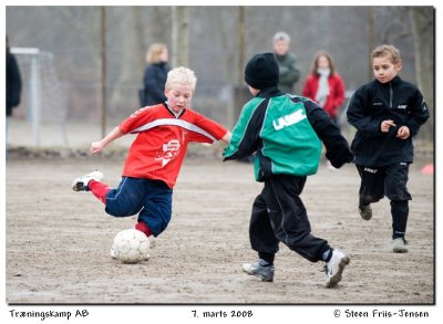 20080307163803.jpg