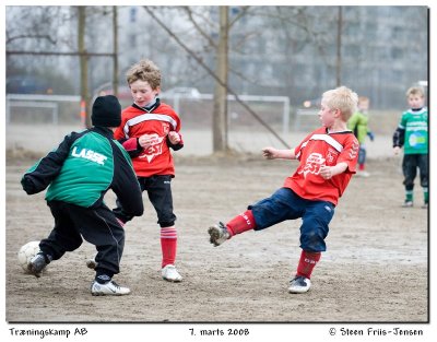 20080307164327.jpg
