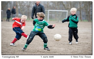 20080307164815-2.jpg