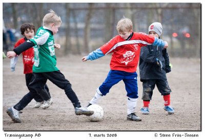 20080307171155-3.jpg