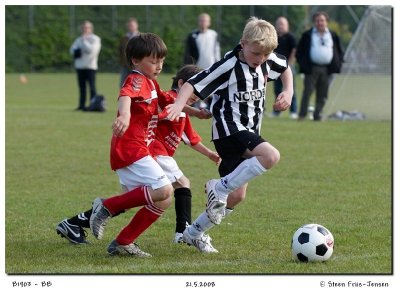 20080521172002_04.jpg