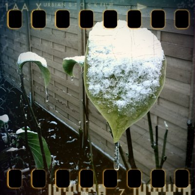 November 26th: First snow