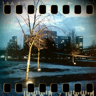January 4th I: Illuminated trees