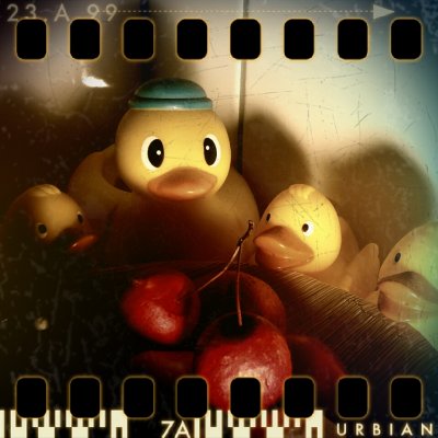 January 8th: Cherry-hunting ducks (at night)