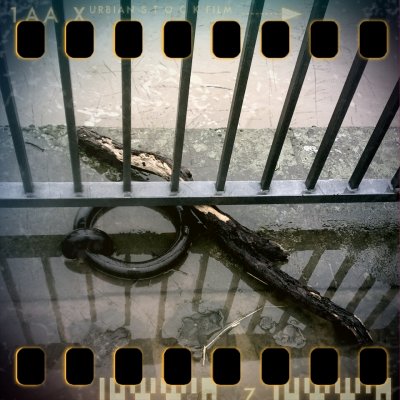 January 13th I: Driftwood (Rhine flooding)