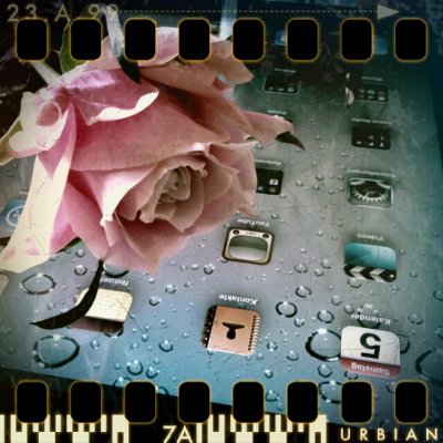 February 5th: RosePad