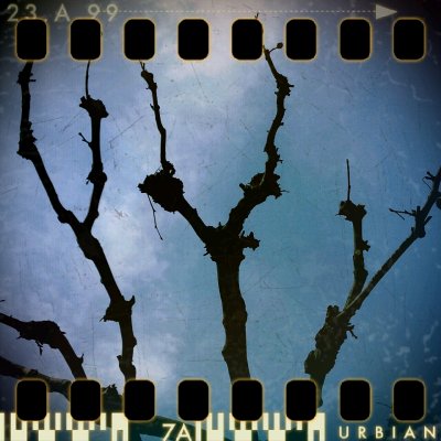 February 7th: Sky forks