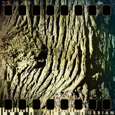 February 8th: Old bark