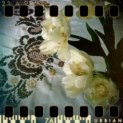 February 12th I: Textile and real flowers