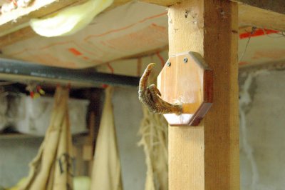 DelPorto Winery Hook