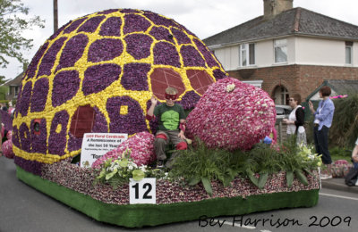 ninja turtle made entirely out of tulips