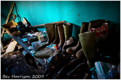 wellies galore....