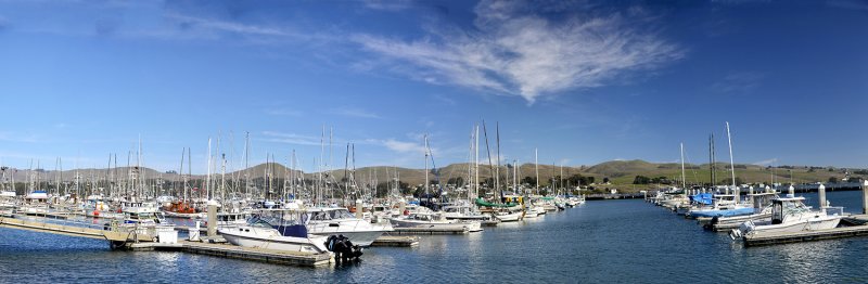 Bodega Bay Boats