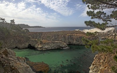 Point Lobos Tidal Pool