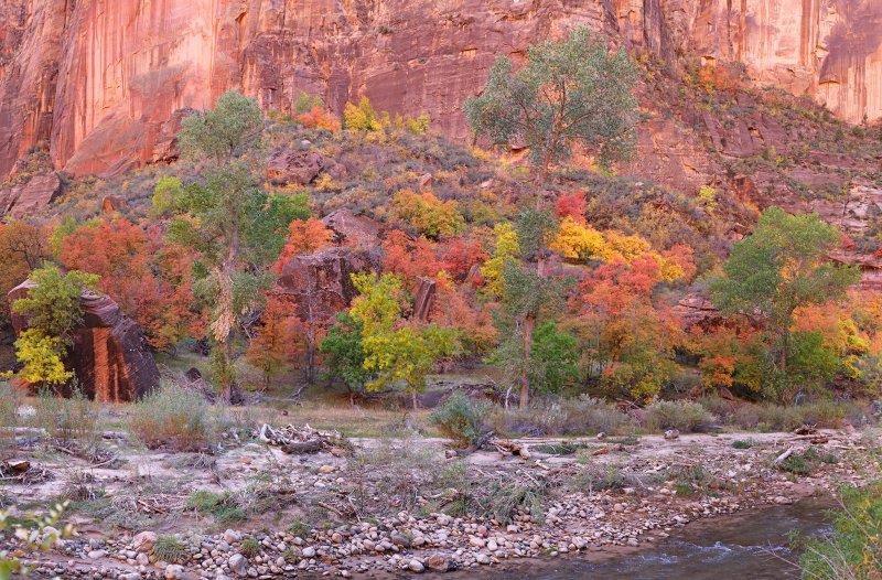 zion_fall_2010