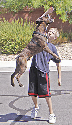 chester jumping 2.jpg