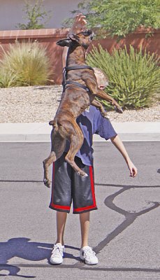 chester jumping 5.jpg