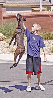 chester jumping 7.jpg