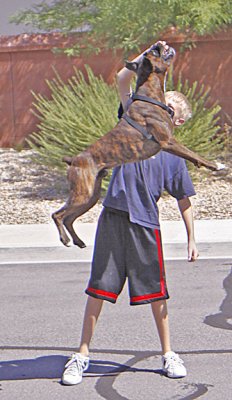 chester jumping 8.jpg