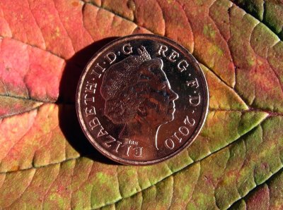 New penny on Autumn colours