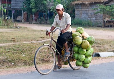 _MG_5887_SR_coconuts
