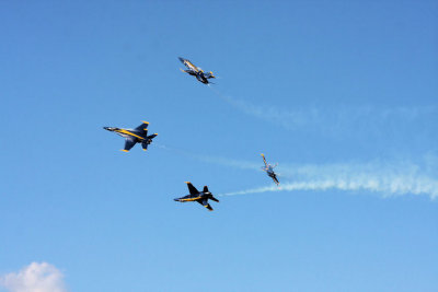 2010 Air Show at Scott Air Force Base