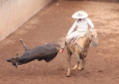 FERIA ANUAL LAGUNA GRANDE