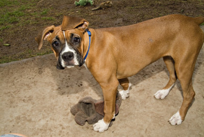 Opal 18 weeks 4854.jpg