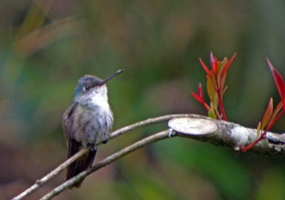 Mexico 2010