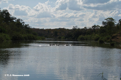 Letaba River