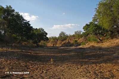 Dry river bed