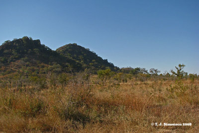 Bushveld hills
