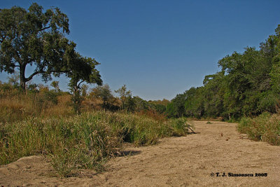 Dry river bed - 2