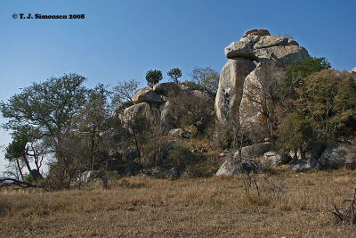Rocky outcrop in the Bushveld