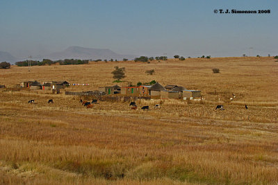 Village in the Highveld
