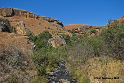 The Drakensberg Highveld