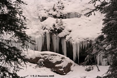 Alberta winter - 5