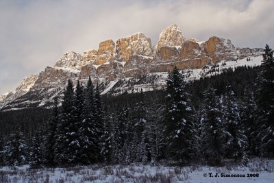 Alberta winter - 13