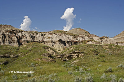 Red Deer River badlands - 9