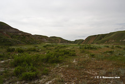 Jenner badlands - 2