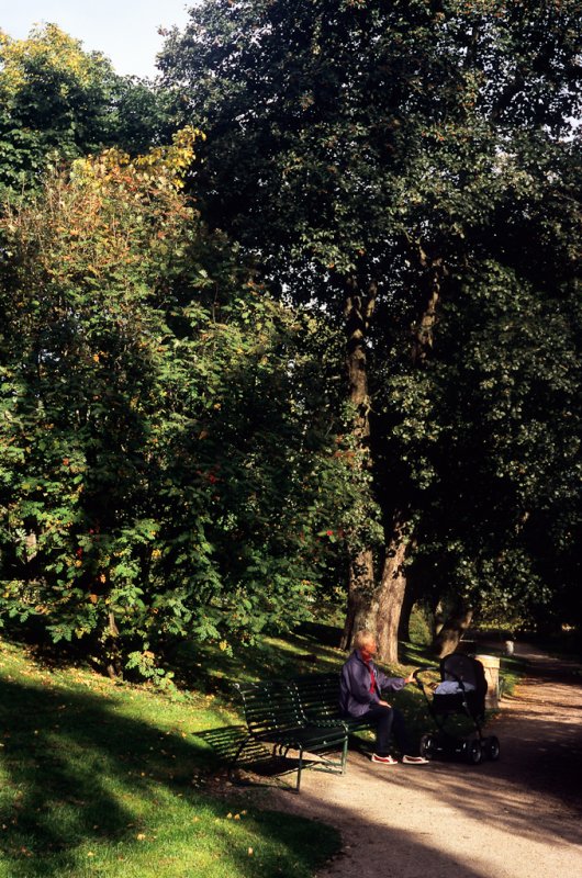 Image25.jpg