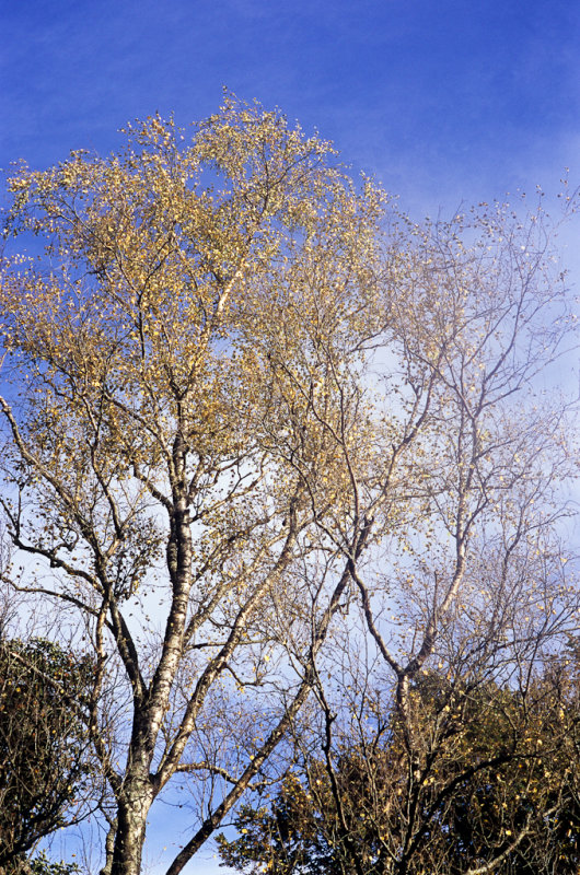 Image26.jpg