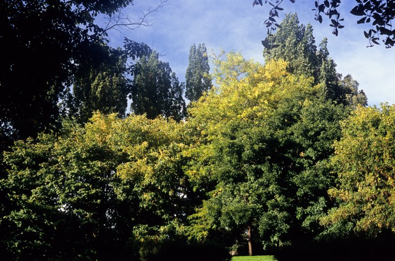 Image28.jpg